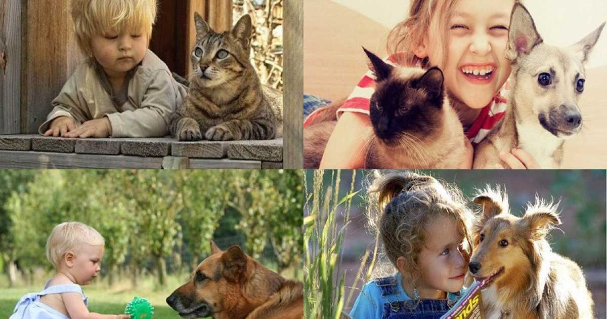 Allergie, passare l'infanzia con un animale diminuisce la possibilit� di contrarle
